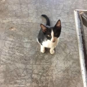 Meet your Posher, Dylan